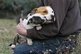ADULTE ET CHIEN 075